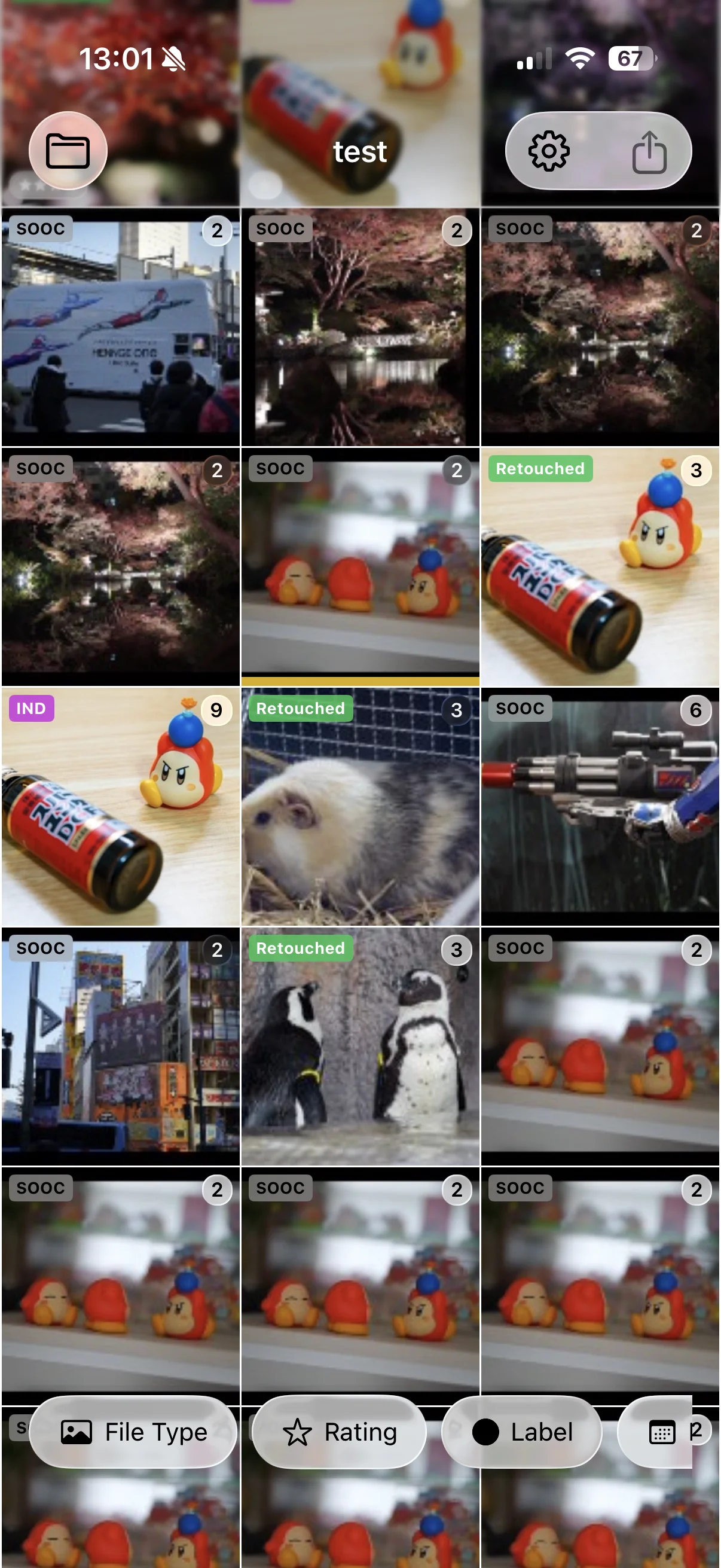 BridgeLite running on iPhone